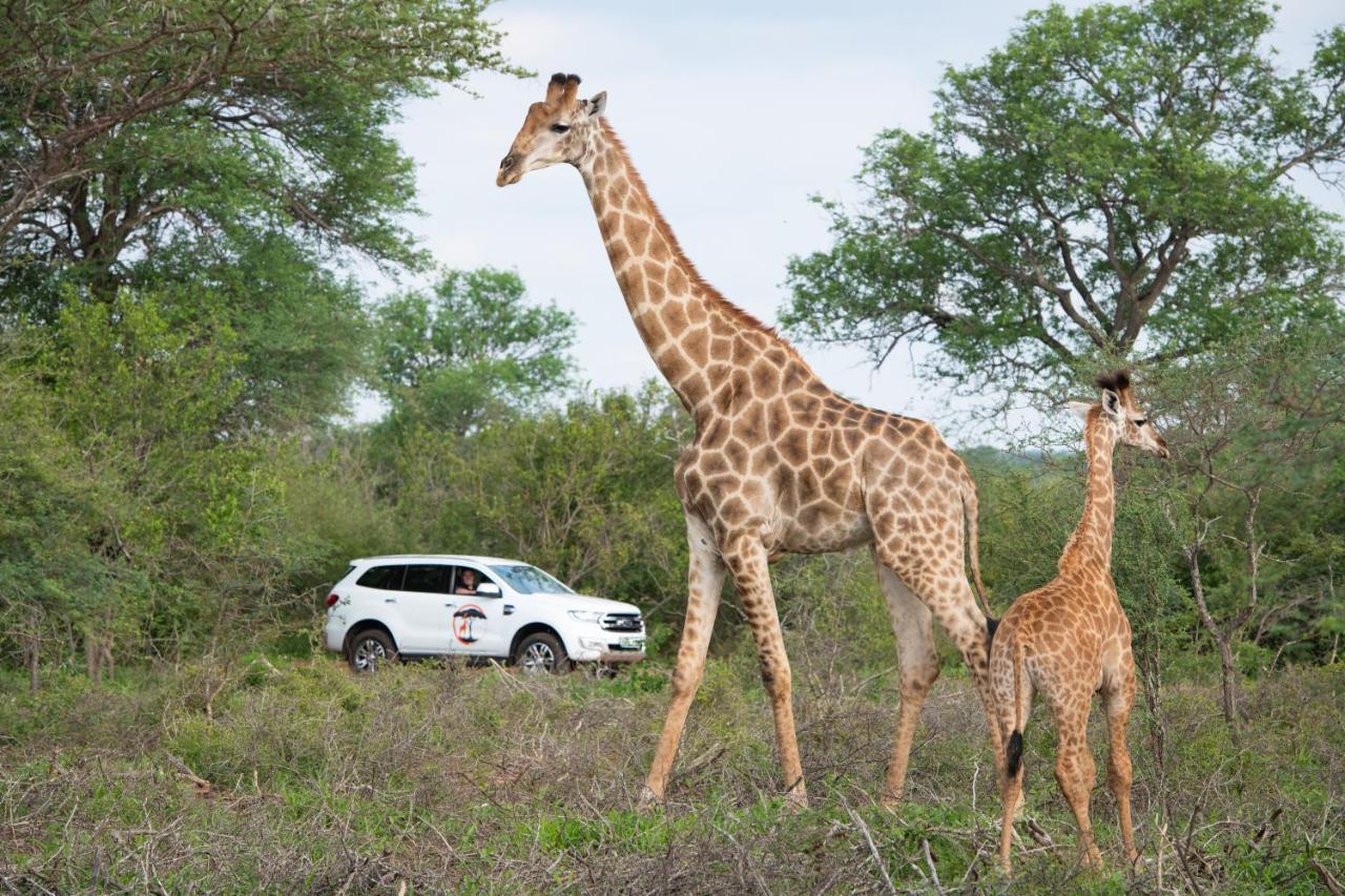 フッドスプルイト Twiga Travelヴィラ エクステリア 写真